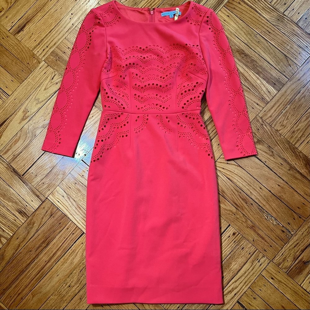 MOVING SALE -Antonio Melani Coral Eyelet Sheath Dress -OFFERS/BUNDLES ACCEPTED✨